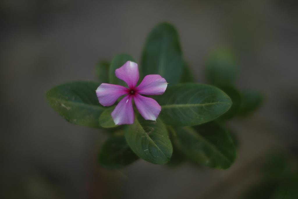 Pousada Da Praia CARAIVA Bagian luar foto